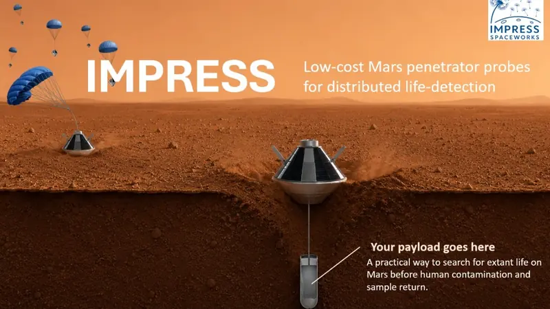 Responding to NASA's RFI: A Commercial Path to Distributed Mars Astrobiology
